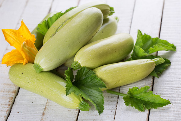 Interesting facts about Courgettes