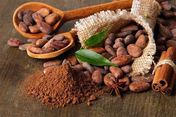 Interesting facts about cocoa