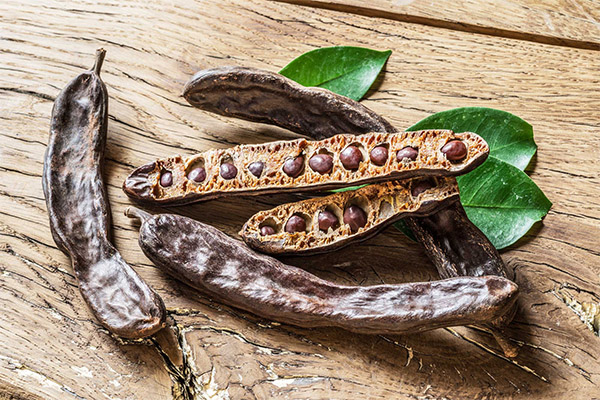 Interesting facts about Carob