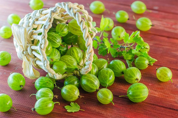 Interesting facts about gooseberries