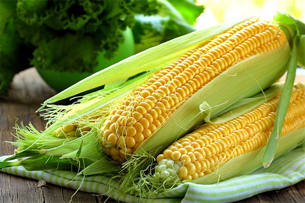 Interesting Facts about Corn Oil
