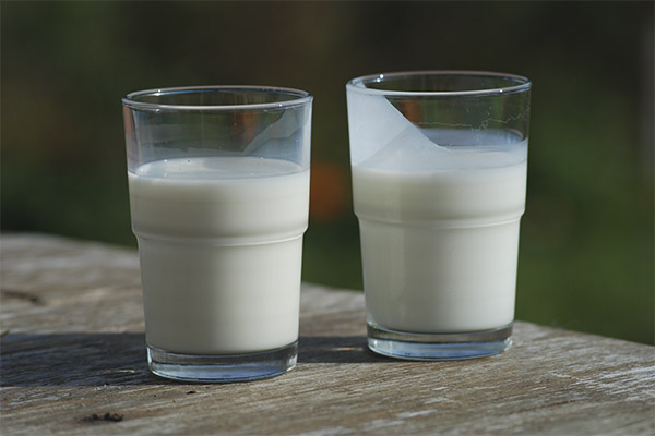 Interesting facts about buttermilk