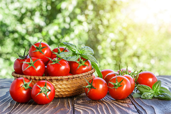 Faits intéressants sur les tomates