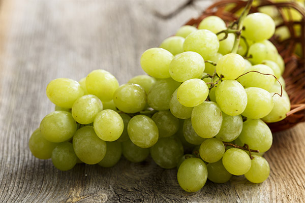 Interessante Fakten über Weintrauben