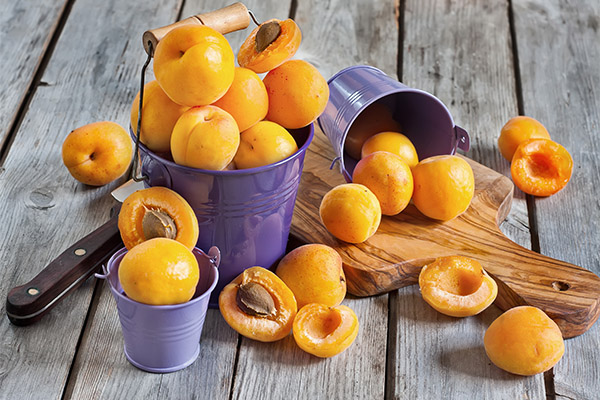 Interesting facts about apricots