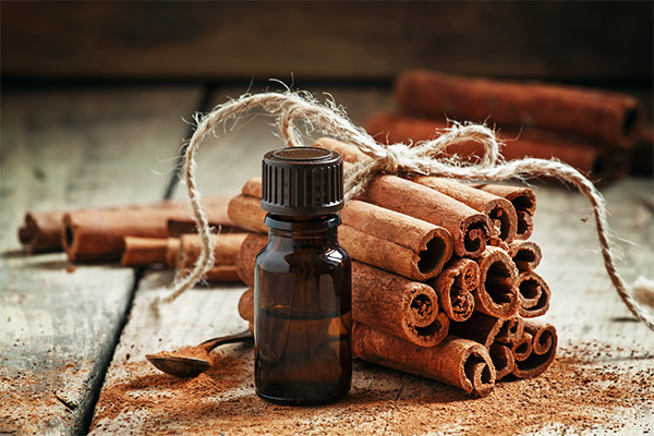 Essential Oil of Cinnamon