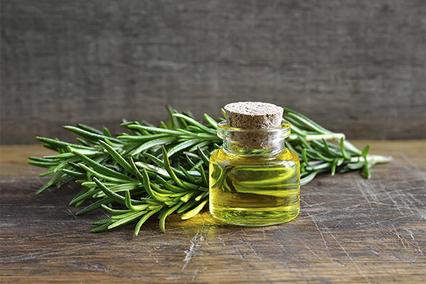 Essential Oil of Rosemary