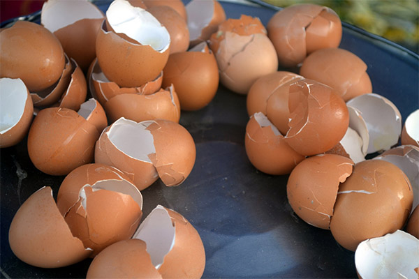Wie man Eierschalen bei Kindern verabreicht
