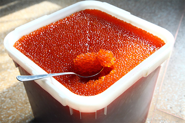 Wie man roten Kaviar aufbewahrt