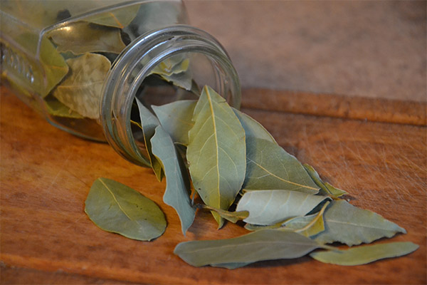 How to store the bay leaf