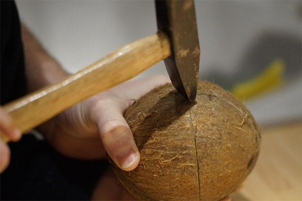 ハンマーでココナッツを開ける方法