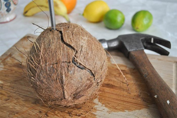 How to open a coconut with a screwdriver