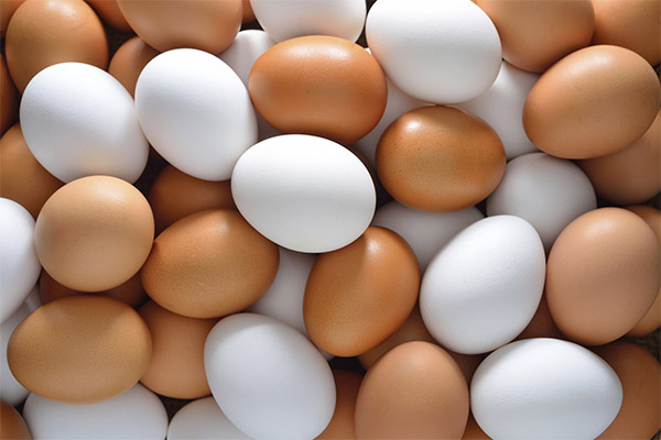 Wie man die Frische von Eiern prüft