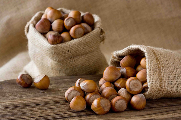 Jak vybrat a skladovat lískové ořechy