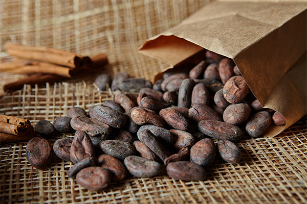 Auswahl und Lagerung der Kakaobohne