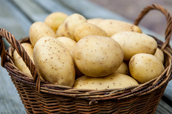 Jak vybrat a skladovat brambory