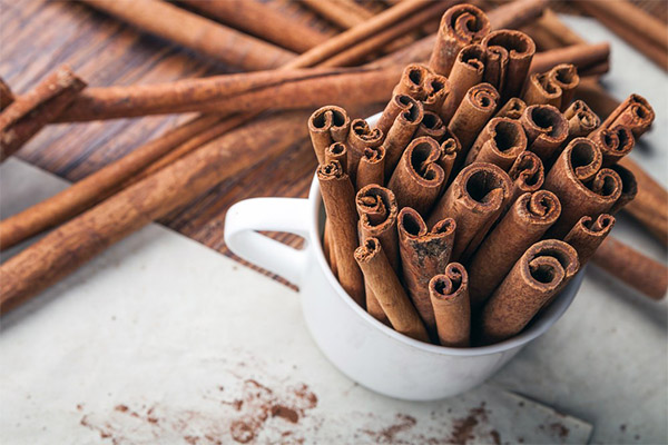 How to choose and store cinnamon