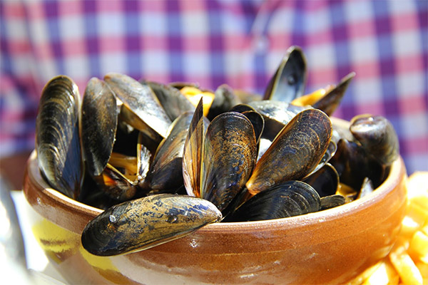 How to choose and store mussels
