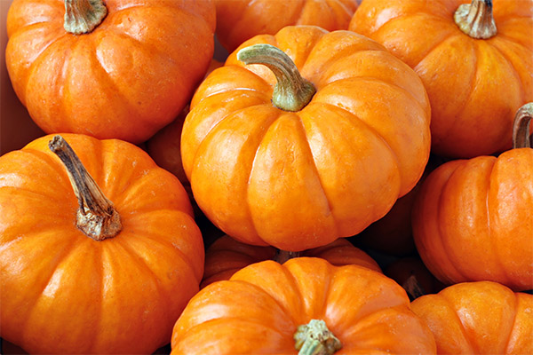 かぼちゃの選び方・保存方法