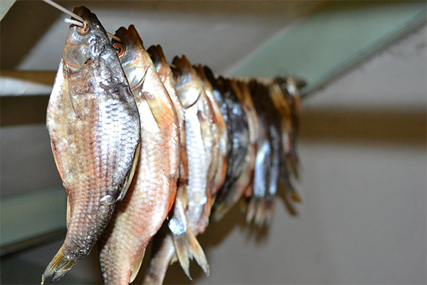 How to Dry Fish