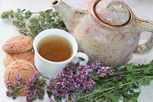 Comment infuser le thé à l'origan