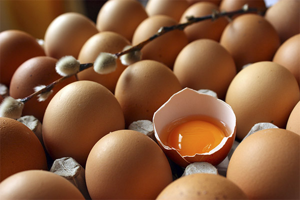 Wie man die Frische von Eiern überprüft