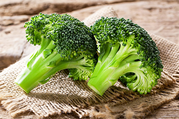 Broccoli in medicine
