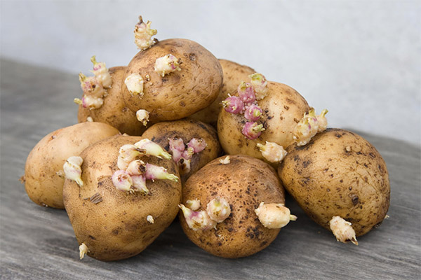 Terapeutické vlastnosti bramborových klíčků