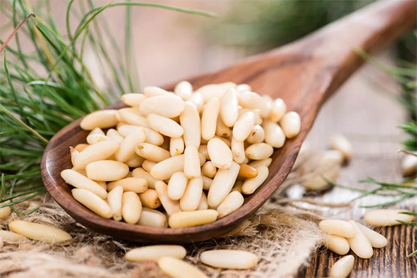 Whether it is possible to give pine nuts to animals