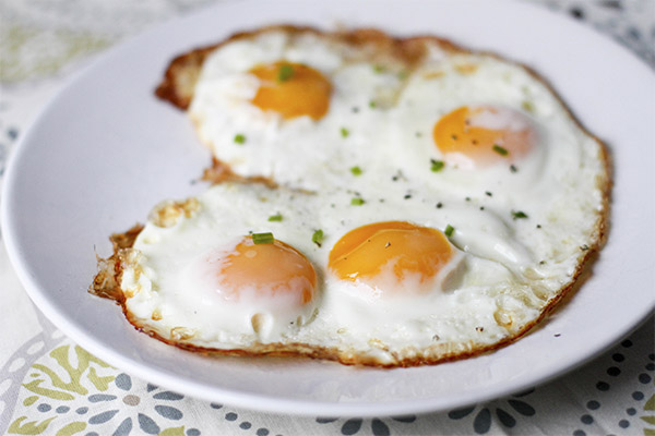 Can we give fried eggs to dogs?