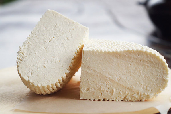 Pourquoi le fromage Adygee est-il amer ?