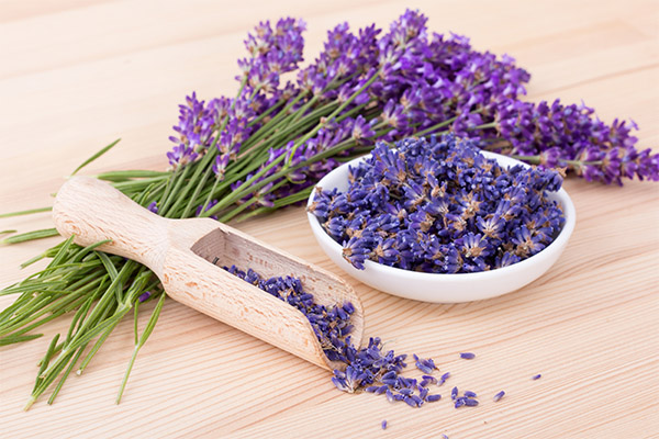 Useful properties of lavender