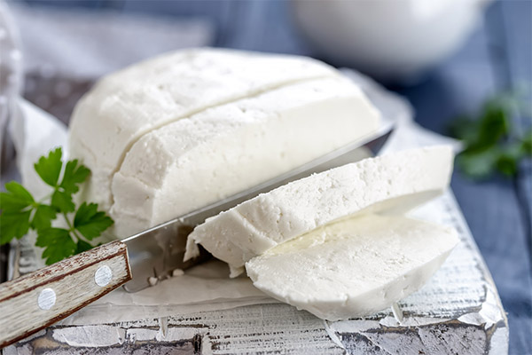 The benefits of adygeyan cheese for weight loss