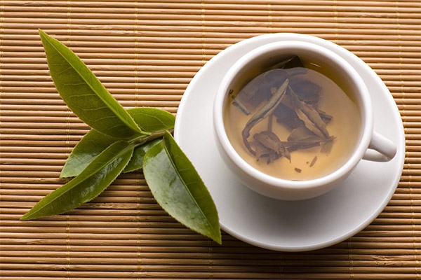 月桂樹茶の有用性