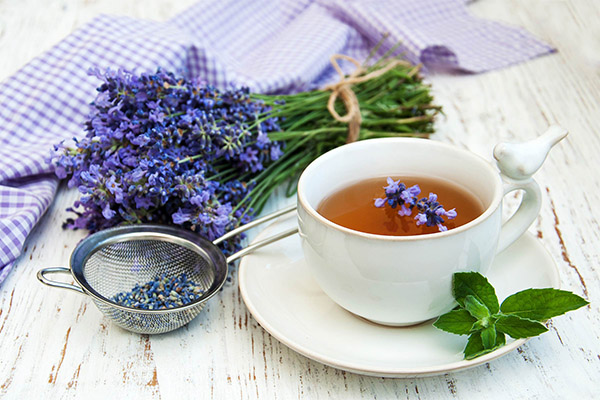 The benefits and harms of lavender tea