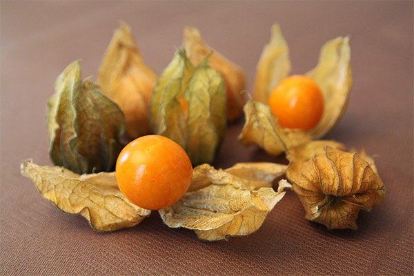 The benefits and harms of physalis