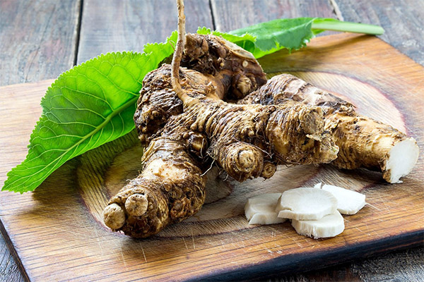 The benefits and harms of horseradish