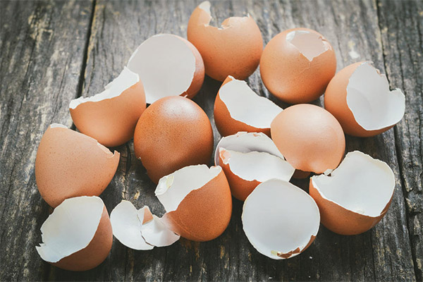 Nutzen und Schaden von Eierschalen