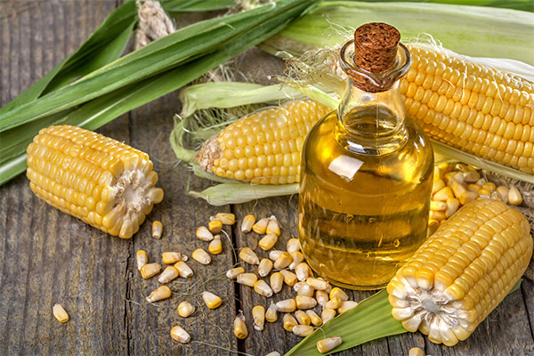 Přínosy a škody kukuřičného oleje