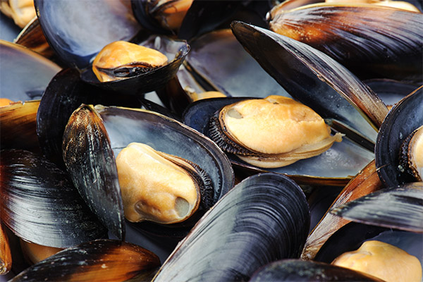 Benefits and harms of mussels