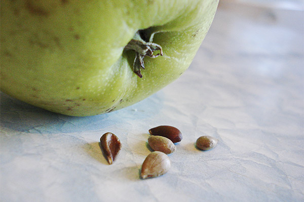 Les avantages et les inconvénients des pépins de pomme