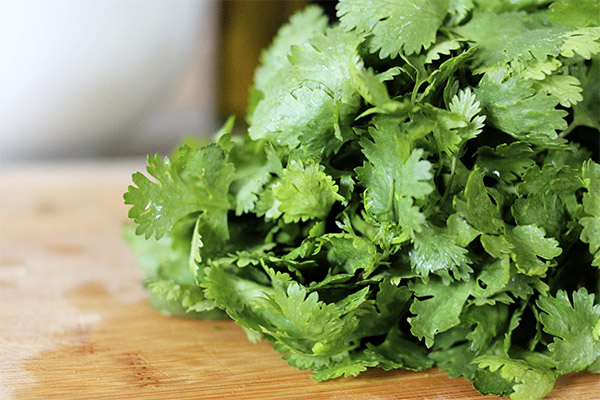 The benefits of coriander for women
