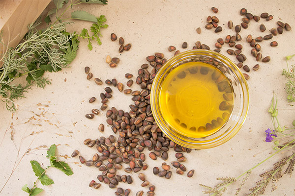 Recipes of folk medicine cedar oil