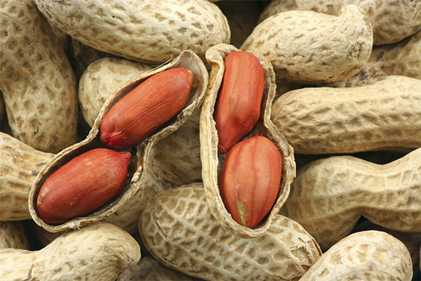 Recepty lidové medicíny založené na arašídech