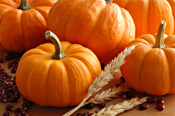 Recipes of traditional medicine based on pumpkin