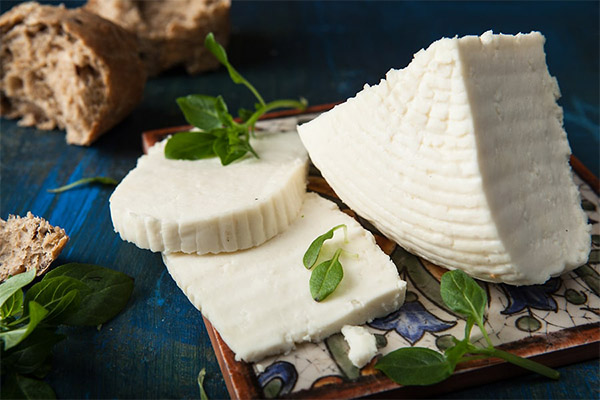 Co jíst adygejský sýr