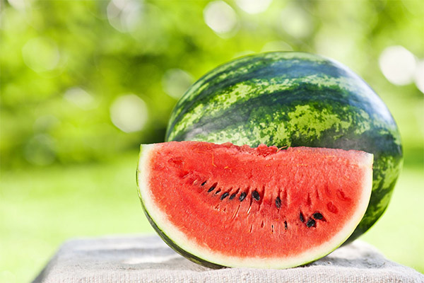 Watermelon in medicine