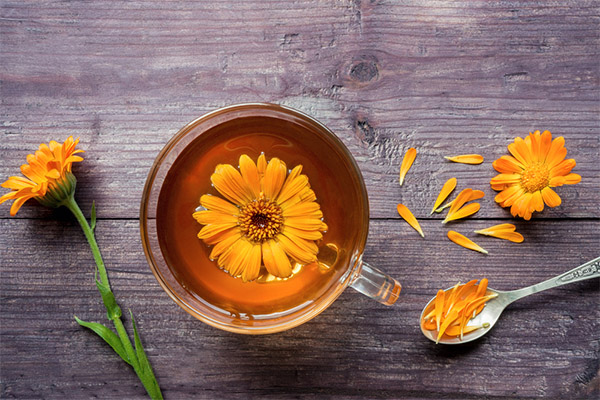 Calendula Tea Benefits