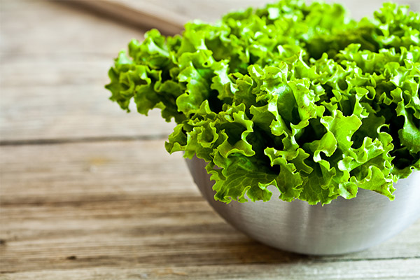 Výhody listového salátu
