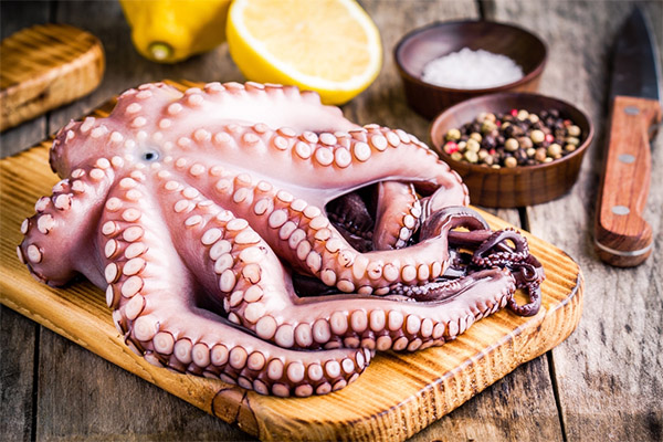 How to use octopus
